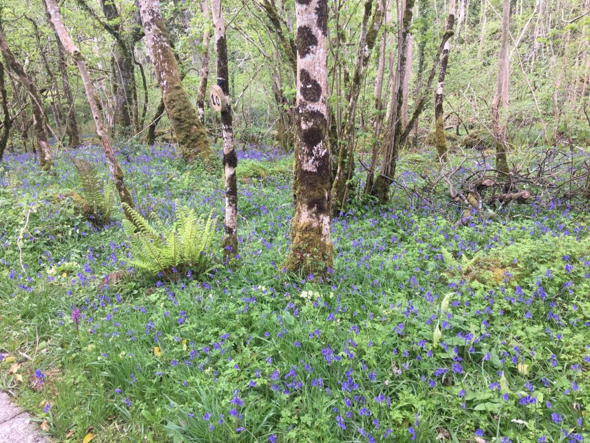 Radharc Na Cuilcagh Panzió Enniskillen Kültér fotó